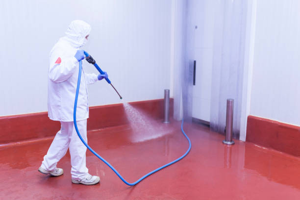 Best Dumpster Area Cleaning  in Decatur, MS
