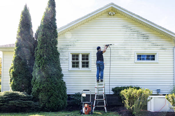 Best Fence Cleaning  in Decatur, MS